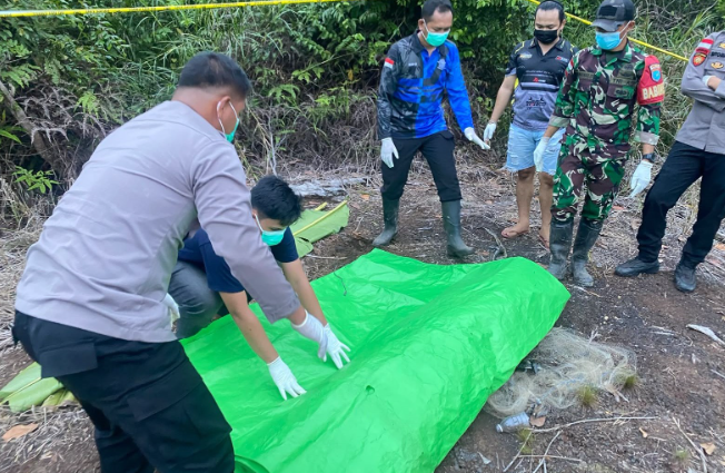 Temuan Empat Ular di Dekat Jasad Warga Sanggau Ungkap Bahaya Areal Perkebunan