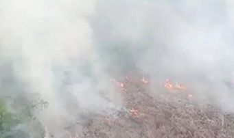 Kemarau Panjang Picu Karhutla di Sungai Ambawang, Warga Duga Ada Unsur Kesengajaan