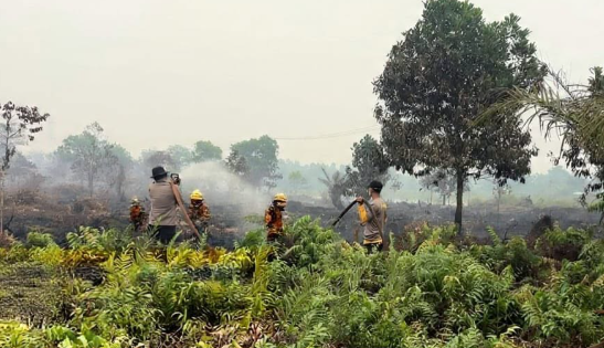 Cegah Api Menyala Lagi, Petugas Basahi 5 Hektare Lahan Gambut di Pangmilang Singkawang