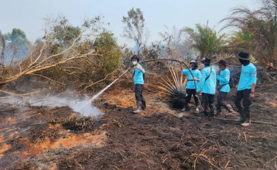 Karhutla Ketapang Belum Padam: 350 Hektare Lahan Terbakar, Api Sembunyi di Kedalaman 9 Meter
