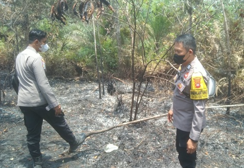 Ancaman Kabut Asap Memburuk, Warga Sekadau Diimbau Tunda Pembukaan Lahan Pertanian