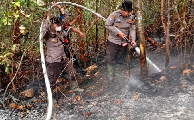 Lahan Tiga Hektare di Bukit Seraya Tayan Hilir Terbakar, Medan Terjal Hambat Proses Pemadaman