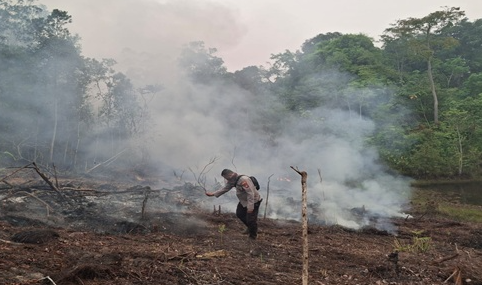 Deteksi Hotspot di Desa Entabuk Sekadau, Ground Check Lapangan Temukan Lahan 0,8 Hektare Terbakar
