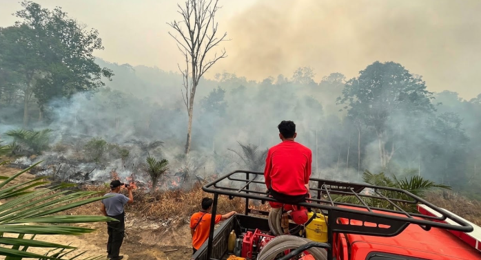 Lahan Adat di Tayan Hilir Sanggau Ludes Terbakar Asap Tebal Ancam Warga
