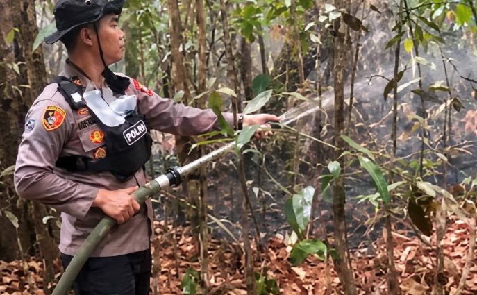 Ancaman Karhutla di Tayan Hilir Sanggau Lahan Bukit Gunung Emas Terbakar