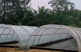 Sentra Garam Sambas Diproyeksikan Pasok Kebutuhan Swasembada Nasional 2027