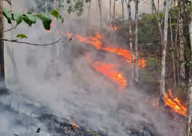 Kebakaran Lahan di Nanga Ella Hilir Melawi Picu Sesak Napas Pada Kelompok Rentan