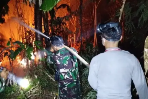 Tim Gabungan Tangani Karhutla di Sandai Ketapang, Pencegahan dan Penyelidikan Ikut Dilakukan