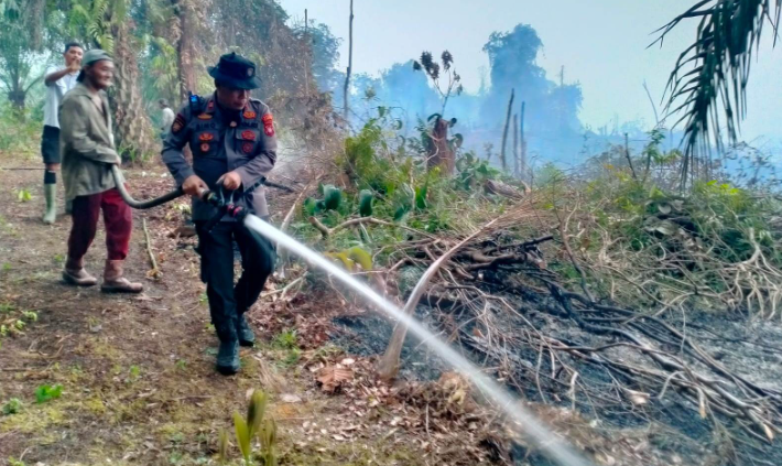 Karhutla Hanguskan 1,5 Hektare Lahan di Kapuas Sanggau