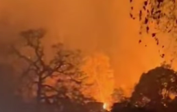 Kabut Asap dan Medan Terjal Hambat Pemadaman Karhutla di Bukit Peramas Kayong Utara