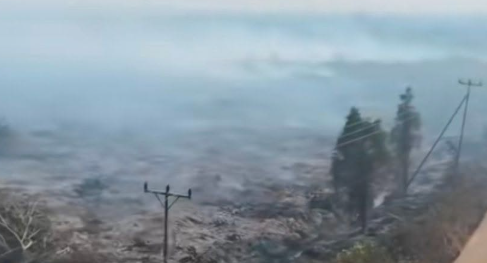 Karhutla Pelang Ketapang: Lahan Belum Ditanami Terbakar, Dugaan Pembakaran Disorot