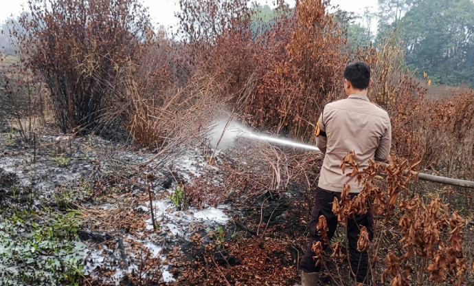 Kebakaran Lahan Terjadi di Tayan Hilir, Area Seluas 0,2 Hektare Terdampak