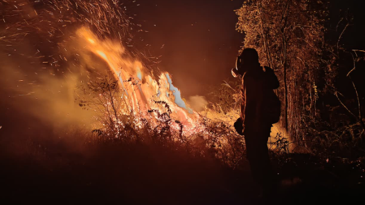 39 Perusahaan Disorot dalam Pengawasan Karhutla Kalbar, 10.672 Hektare Terbakar