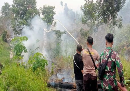 Api Kembali Muncul di Lahan Sawit Sekadau Setelah Sempat Dipadamkan Warga