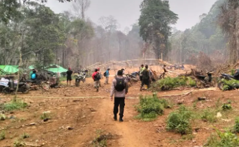 14 Pondok PETI Ditemukan di Kawasan Hutan Produksi Sambas, 65 Orang Berada di Lokasi