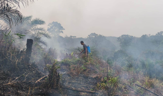 Kebakaran Lahan 0,2 Hektare Terjadi di Meliau Sanggau, Pengawasan Kebun Diperketat