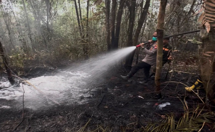 Karhutla Hanguskan 0,6 Hektare Lahan di Dusun Pana Sanggau, Petugas Lakukan Pendinginan