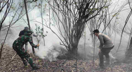 Titik Api Muncul di Kawasan Taman Nasional Danau Sentarum, Tim Gabungan Lakukan Pemadaman
