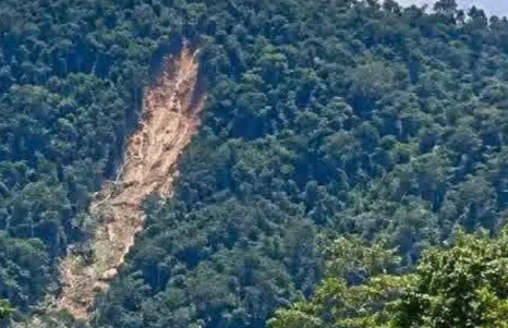 Longsor di Gunung Senujuh Sambas, Aktivitas Penebangan dan Tambang Batu Disorot