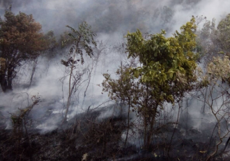 223 Titik Panas Terdeteksi di Kalbar, Sejumlah Wilayah Masuk Kategori Mudah Terbakar hingga 8 Oktober