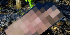 Warga Landak Ditemukan Meninggal Saat Membakar Lahan Seorang Diri