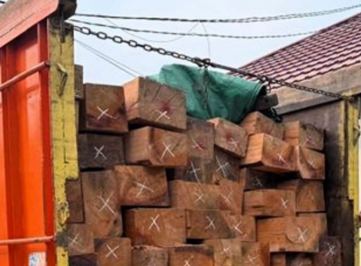 Siapa di Balik Kayu Diduga Ilegal yang Diamankan di Sanggau? Penyidik Telusuri Pemiliknya